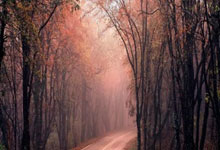 DB彩票入口-铁血防线铸就晋级之路：揭秘XX队制胜基因