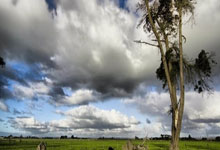 DB彩票入口-铁血防线铸就晋级之路：揭秘XX队制胜基因