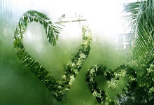 -当泰山詹姆斯撞上紫金湖人！中超VAR争议之夜撕裂球迷心脏