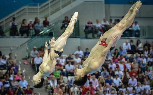 -包含跳水项目技压群雄，高空中的飞跃的词条