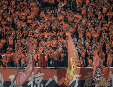 黑龙江火凤凰卓尔劲守主场，战效显著